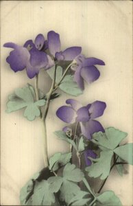 Japan Japanese Flower Art c1910 Postcard - Hand Colored Painted? #3