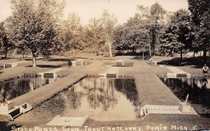 Stock Ponds State Trout Hatchery - Paris, Michigan MI Postcard