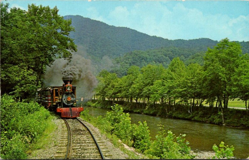 North Carolina Cherokee Narrow Gauge Steam Locomotive