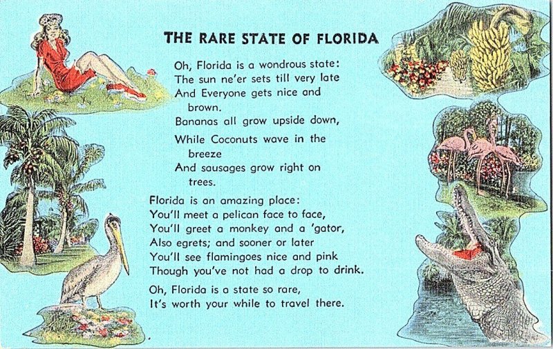 The Rare State Of Florida Poem Vintage Postcard Standard View Card