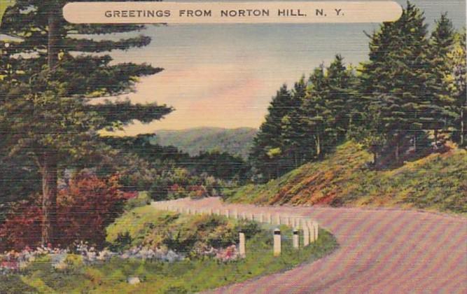 New York Greetings From Norton Hill