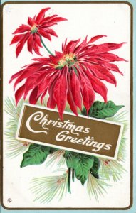 Postcard Christmas Greetings - embossed poinsettia