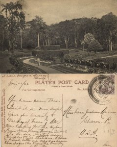 ceylon, KANDY, Peradeniya Garden (1922) Postcard