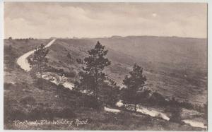 Surrey; Hindhead, The Winding Road PPC, Hindhead & Haslemere TPO PMK, 1908