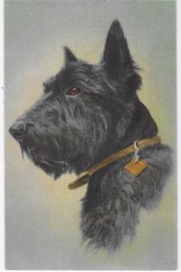Scotish Terrier #158 Printed in Switzerlland