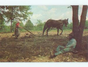 Pre-1980 PLOWING WITH HORSE Ozarks - Eldon & Camdenton & Lebanon MO E6811