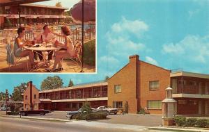 WILLIAMSBURG, VA  Virginia  HOLIDAY INN  Woman Feeding Man  50's Cars  Postcard