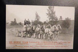 Mint USA Advertising Postcard Six Horse Team J Crouch and Son Importers RPPC