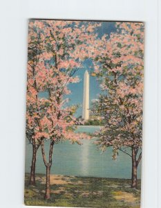 Postcard Washington Monument And Cherry Blossoms, Washington, D. C.