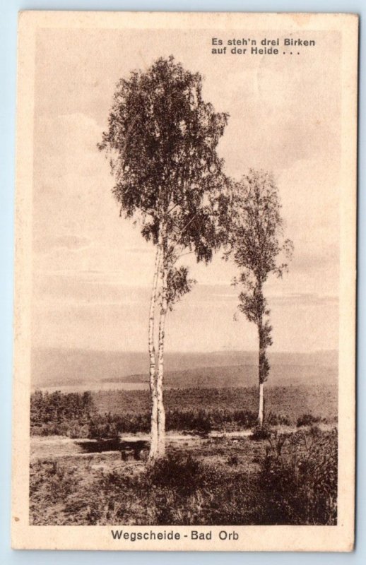 Es steh'n drel Birken auf der Heide Wegscheide Bad Orb GERMANY Postcard