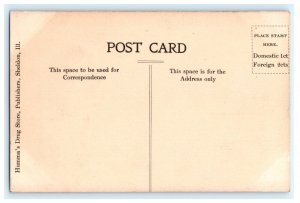 Cleveland Grain Co Elevators Sheldon IL Illinois Postcard (FF16)