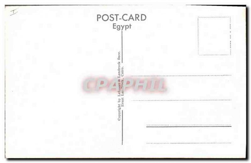 Postcard Ancient Egypt Egypt Cairo The Pyramids of Giza