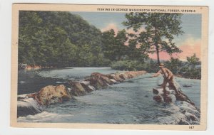 P2456, vintage postcard fishing george washington nat,l forest virginia