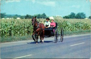 Amish Courting Buggy Couple Dutch Country Pennsylvania Postcard PM Lancaster PA 