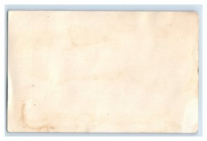 1880s Domestic Sewing Machine Co. Horses Carriage Dalmatian Dog P141 