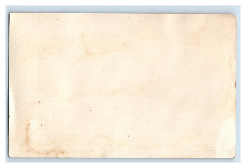 1880s Domestic Sewing Machine Co. Horses Carriage Dalmatian Dog P141 