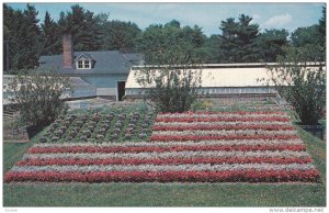 American Flag at Elizabeth Park, Floral Arrangement, Hartford, Conneticut, Un...