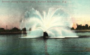 Vintage Postcard 1911 Reservoir Beautiful Display Highland Park Rochester N. Y.