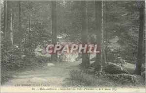 Old Postcard Gerardmer Vosges Illustrated Under Wood Bridge of Love