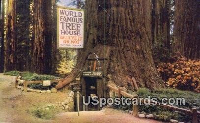 World Famous Tree House - Tree House Park, CA