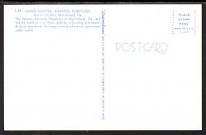 Hand Feeding Porpoises,Marineland,FL