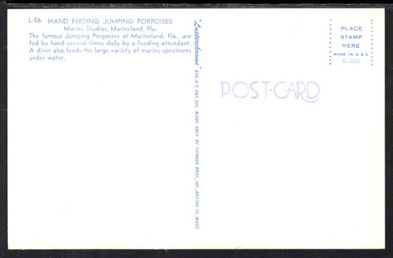 Hand Feeding Porpoises,Marineland,FL