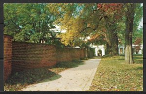 Virginia, Charlottesville - University Of Virginia - Serpentine Walls - [VA-079]