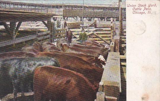 Union Stock Yards Cattle Pens Chicago Illinois