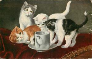 Cats kitties & cup vintage postcard chats