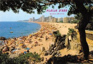 BR85798 platja d aro costa brava la gran platja spain