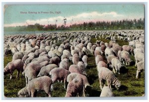 1910 Sheep Grazing Scene In Fresno Co California CA Posted Antique Postcard