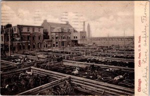 Postcard FARM SCENE Chicago Illinois IL AK0071