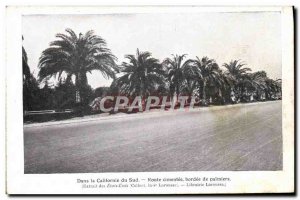 Old Postcard In California South Road lined with palm trees