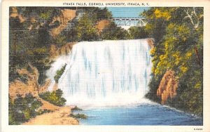 Ithaca Falls New York  