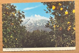 UNUSED  POSTCARD - WINTER IN SOUTHERN CALIFORNIA