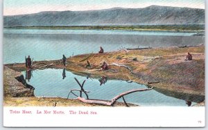 Vintage Dead Sea Scenic Postcard Totes Meer La Mer Morte 70