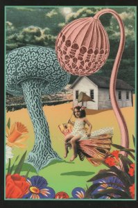 Ken Brown Butterfly Girl Magic Mushrooms Painting Postcard