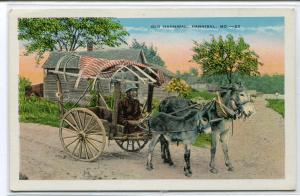 Old Hannibal Donkey Cart Hannibal Missouri 1930s postcard