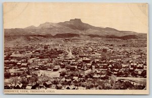 Trinidad Colorado~Bird's Eye Panorama~Neighborhood Homes~c1910 Sepia Postcard 