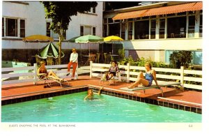 Enjoying the Pool, Blinkbonnie, Hamilton, Ontario