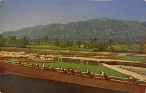Horses Parading to the Post at Beautiful Santa Anita Park Arcadia California  