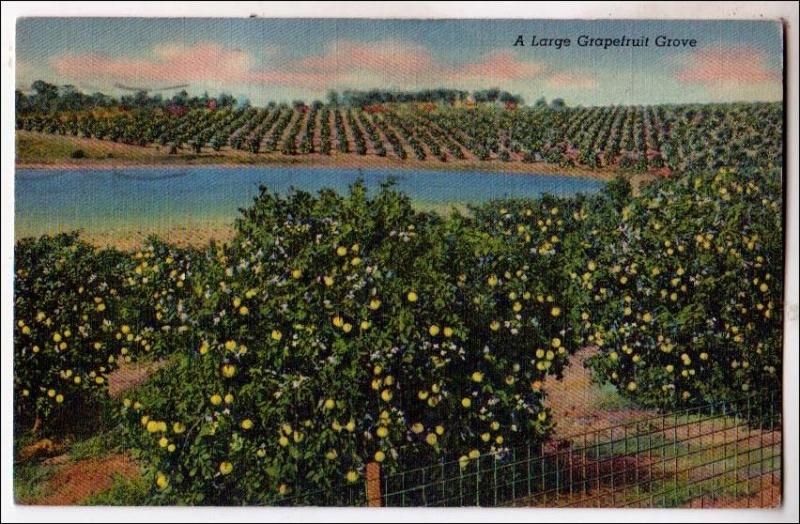 FL - Grapefruit Grove