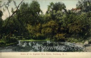 Eighteen Mile Creek in Hamburg, New York