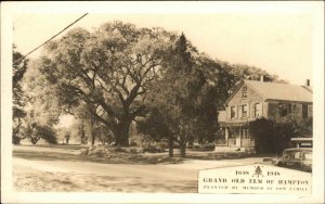 Hampton New Hampshire NH Grand Old Elm Tree Real Photo Vintage Postcard