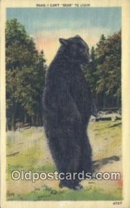 Bear Unused 