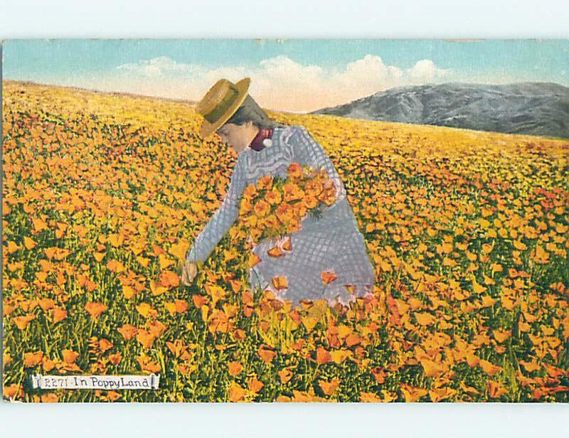 Pre-Linen WOMAN PICKS POPPY FLOWERS IN CALIFORNIA POPPYLAND HL4990