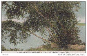 White Birches on Maple Grove Point, Lake Tripp, Poland, Maine,   PU-1909