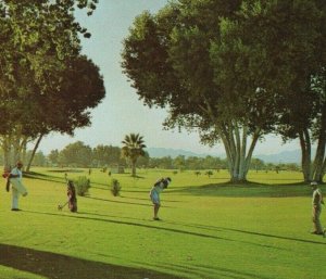 c1970s municipal golf course Needles California Colorado River postcard B352 