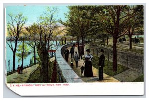 Riverside Park Drive New York City NY NYC UNP UDB Postcard O15