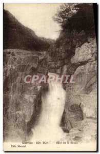 Old Postcard Bort Leap of Willow